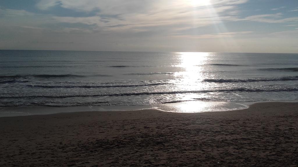 Apartamento Guardamar Playa كوارذامار ذيل سيغورا المظهر الخارجي الصورة
